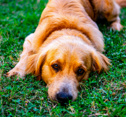 screenshot 2025 07 20 8.39.42 pm