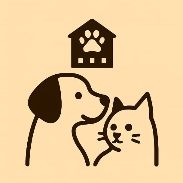 screenshot 2025 07 20 9.16.54 pm