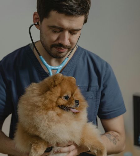 pexels tima miroshnichenko 6235664